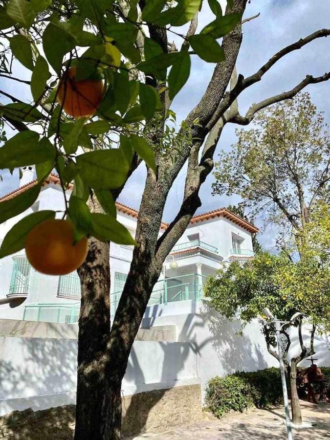 Nuevo Los Almendros 202 Complejo Turistico Lägenhet Córdoba Exteriör bild