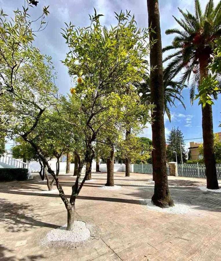 Nuevo Los Almendros 202 Complejo Turistico Lägenhet Córdoba Exteriör bild